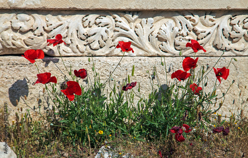 Laodikeia Ancient City in spring . Denizli ,Turkey photo