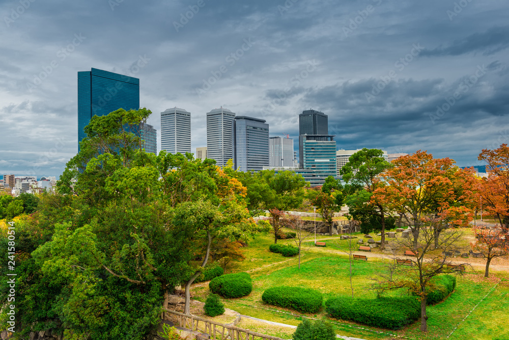 Fototapeta premium beautiful landscape of Osaka city with modern buildings and park, Japan, daytime, autumn