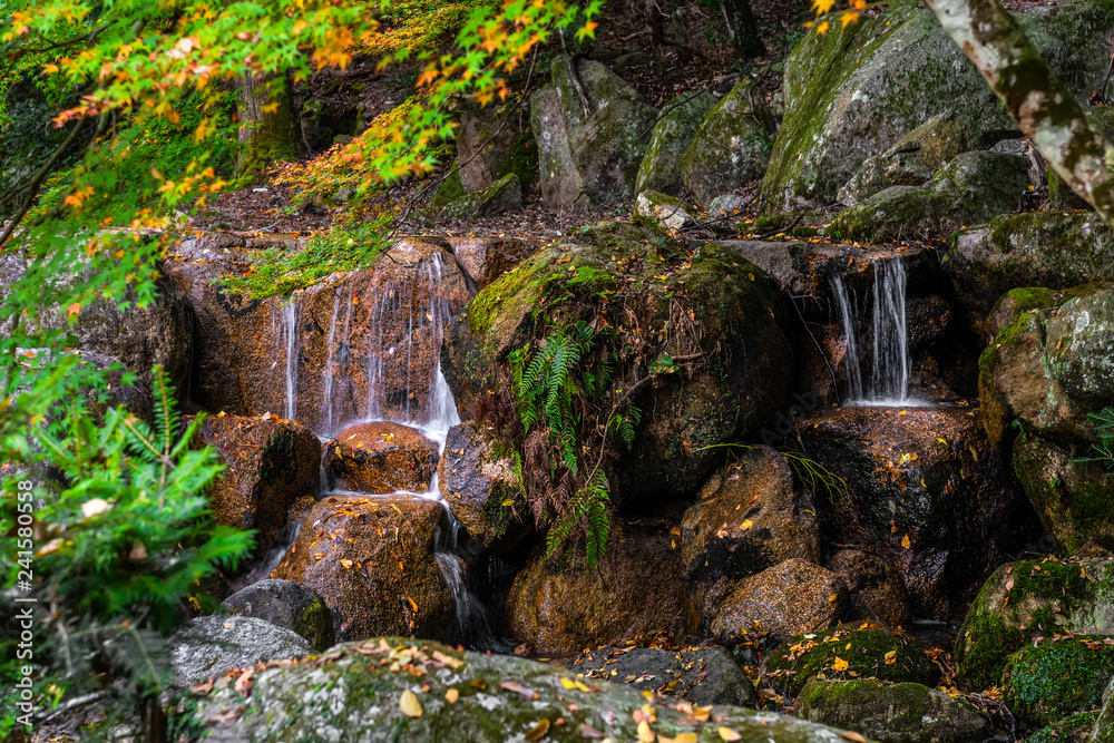 Fototapeta premium wodospady i kamienie w lesie, Japonia