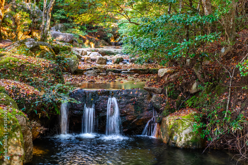 beautiful scene with waterfall and river in forest, Japan