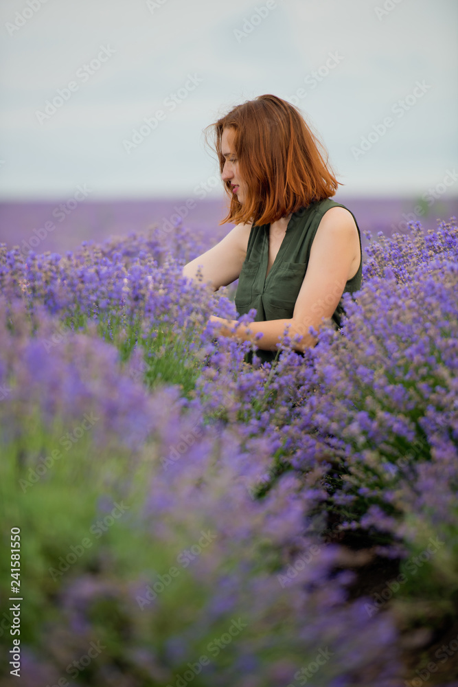 Young girl with, posing in a lavender field. Young girl with, posing in a lavender field.