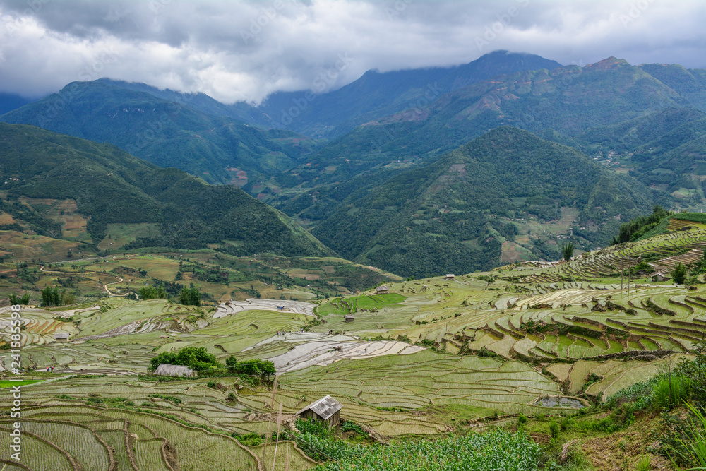 Terraced rice fields on rain season in Vietnam