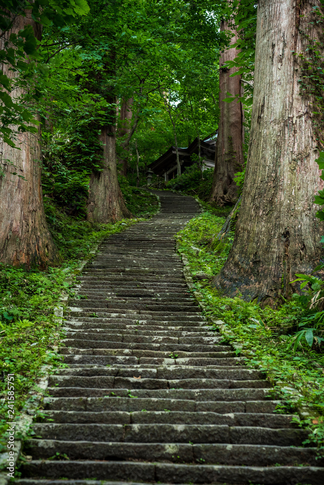 羽黒山山道 羽黒山山道