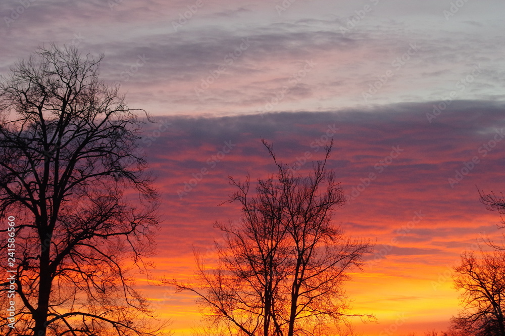 Sonnenuntergang mit Bäumen