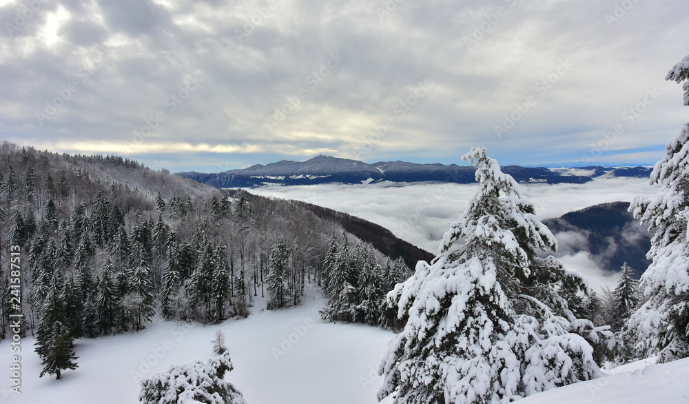 Beautiful winter landscape in Slovenia with snowy trees and with fog in the valley. In the distance you can see hill Kum.