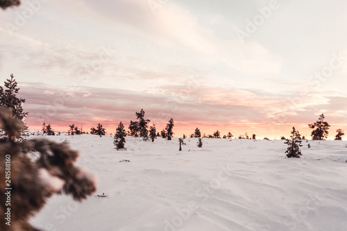 Sunset during winter © Gustav