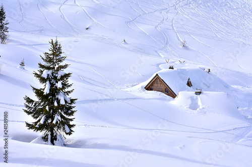 Winter snowy landscape with small wooden house and with snowy spruce trees. Romantic scene. Vogel, Slovenia, February 2018