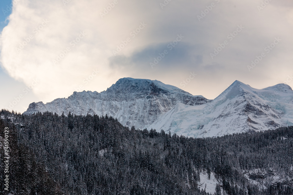 Swiss Winter cold Winter blue mountain