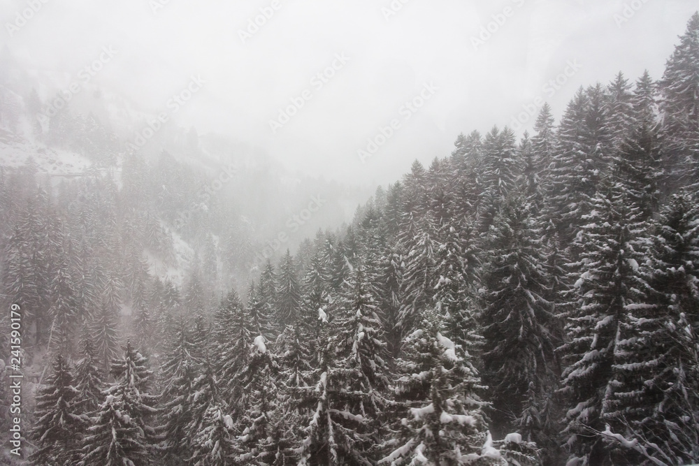 Swiss Winter cold Winter blue mountain