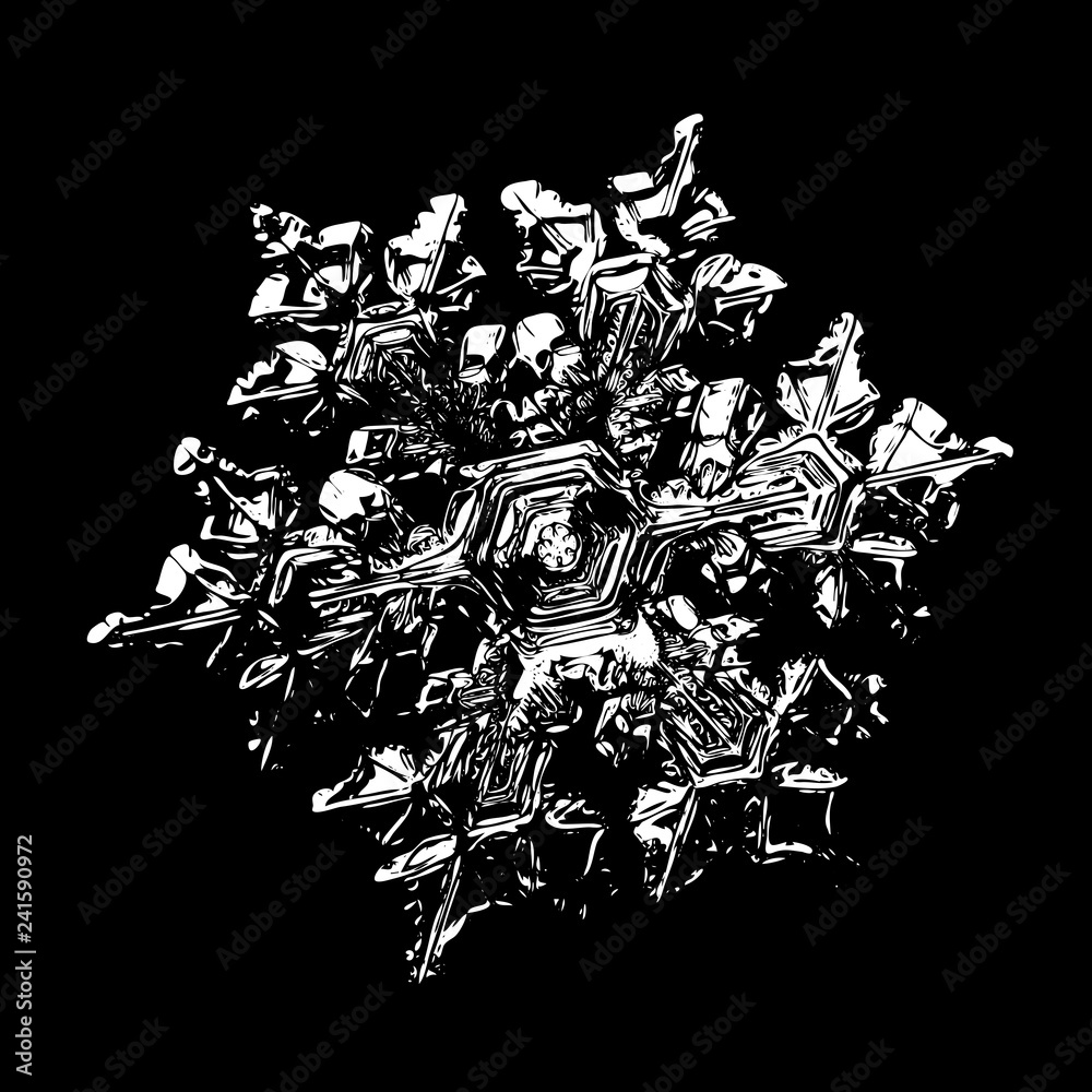 Obraz premium White snowflake on black background. Illustration based on macro photo of real snow crystal: small star plate with six short, broad arms, glossy surface and complex inner structure.