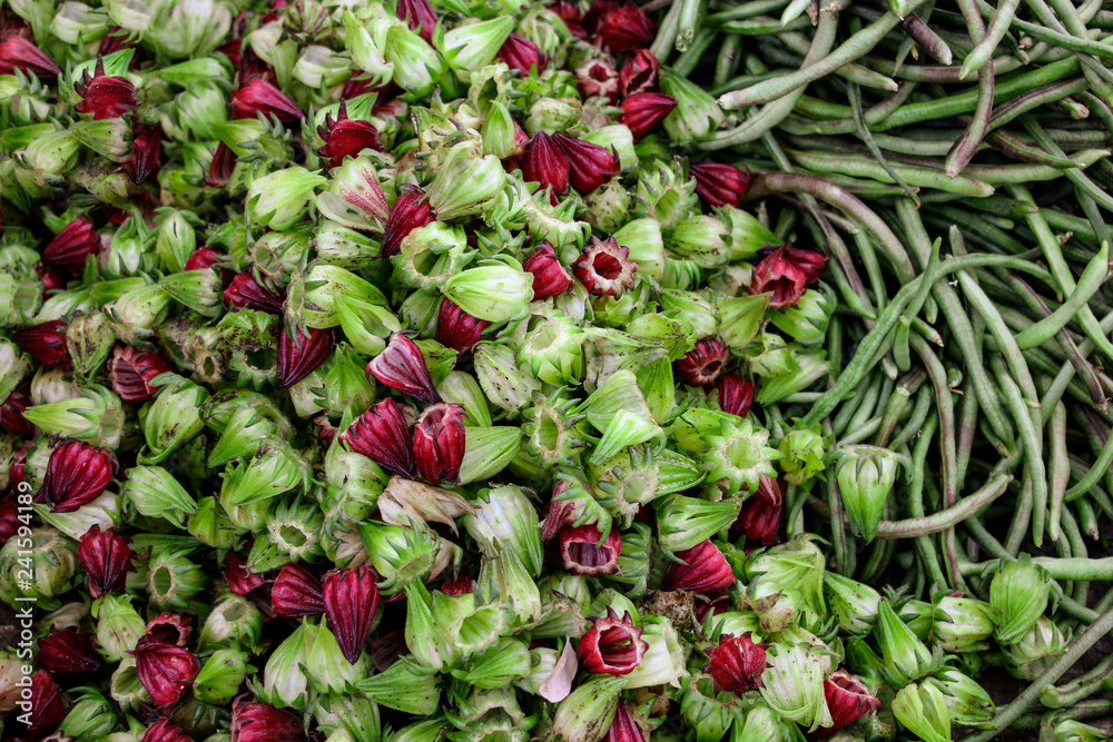 Fresh red and green roselle flowers sale in the market Fresh red and green roselle flowers sale in the market