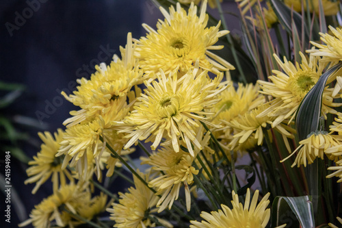 bouquet of yellow flowers