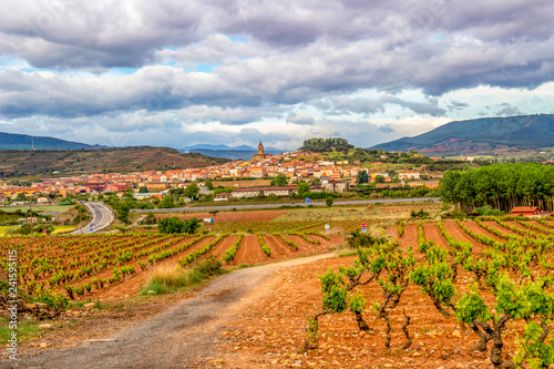 Beautiful May landscape in La Rioja, Spain on the Way of St. James, Camino de Santiago with vineyards, red clay and the town of Navarrete in the distance
