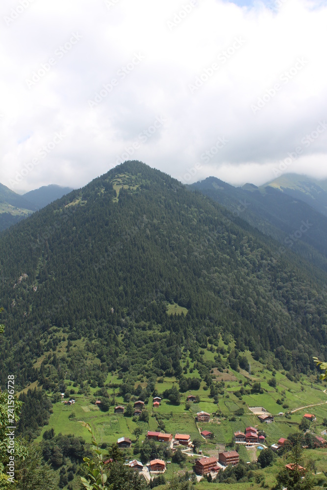 Naklejka premium mountain