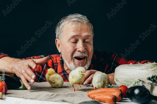 emotional granfather having fun with chickens on the table. close up photo. enjoyment, happinesss photo