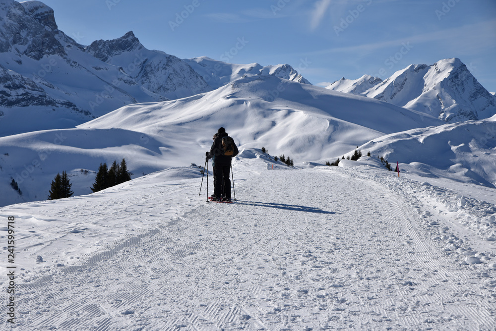 Randonnée en hiver dans l'Oberland bernois, Suisse