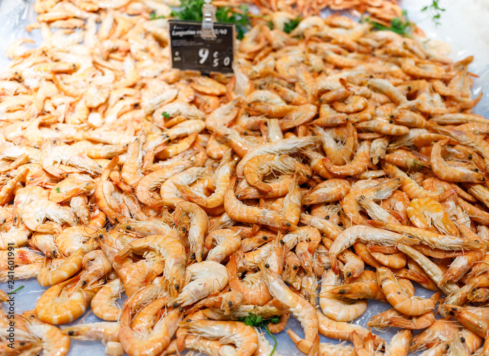 Shrimps. Fresh Prawns close-up. Seafood rotated on crashed ice, food background, top view, preparing healthy food, cooking, diet, nutrition concept. Shrimps. Fresh Prawns close-up. Seafood rotated on crashed ice, food background, top view, preparing healthy food, cooking, diet, nutrition concept.