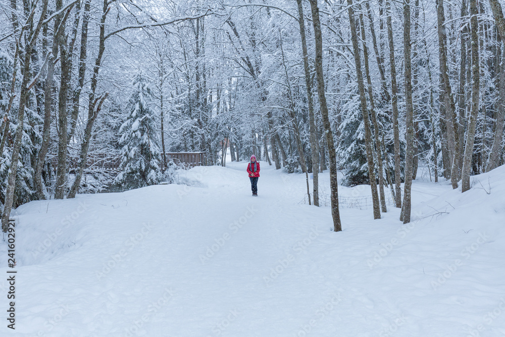 Walking in the snow - French Alps