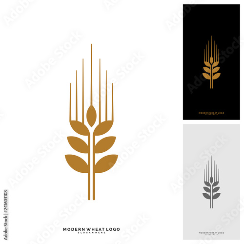 Wheat Luxury Grain and bread labels. Nature wheat. Agriculture wheat Logo Template Vector