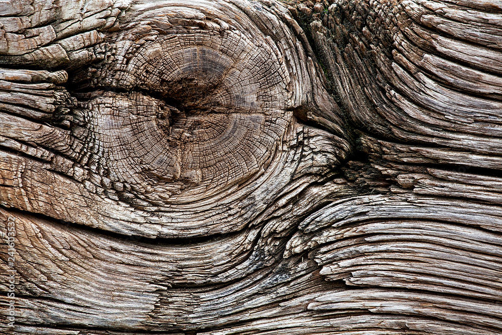 Wood texture with natural pattern. Wood texture with natural pattern.