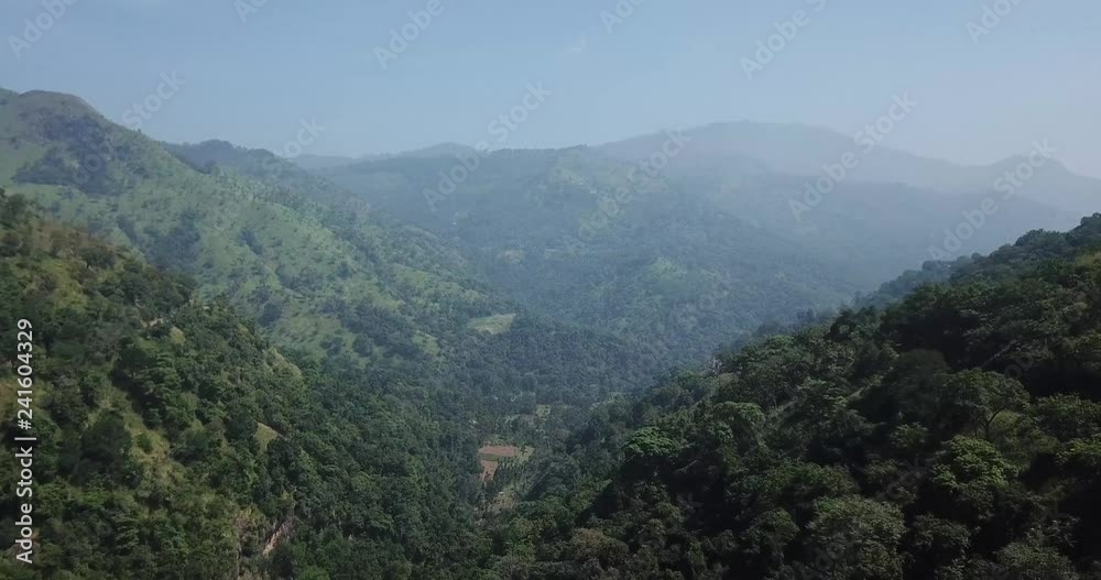 Forest with a river in Sri Lanka from the height of bird flight Forest with a river in Sri Lanka from the height of bird flight