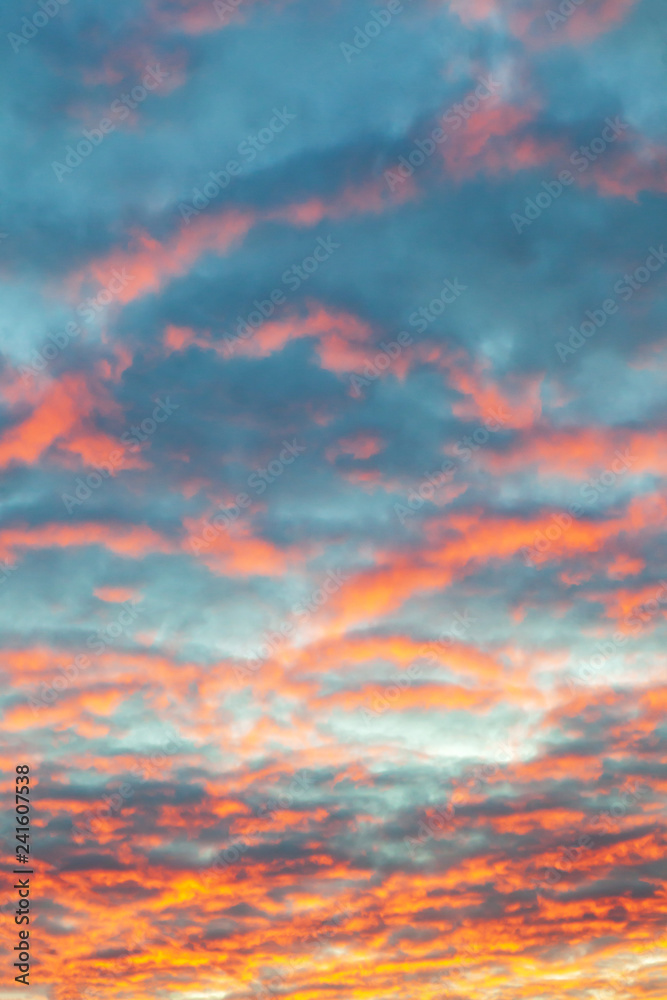 pink clouds in the sunset sky