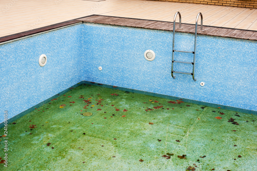Fototapeta premium Empty swimming pool with ladder or steps