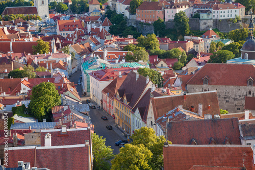 Red roofs of old town Tallinn, Estonia at sunny day photo