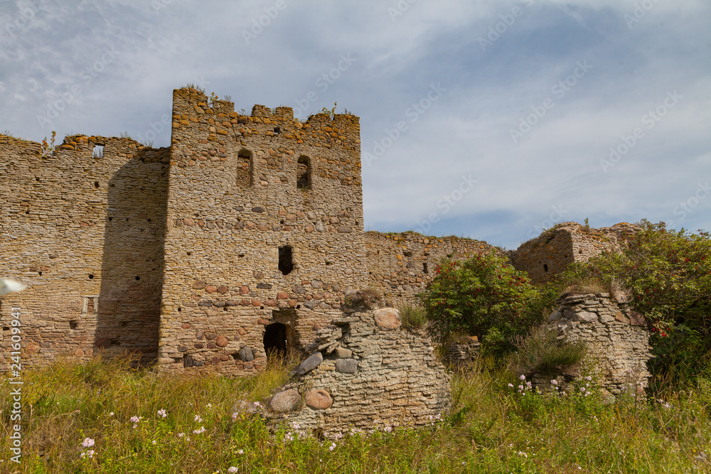 Ruins of a castle Toolse in Estonia. Earlier Tolsburg or Vredeborch.
