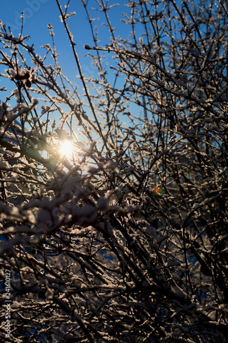 the sun in the cold rays passes through the grass