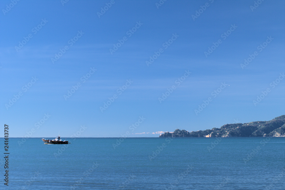 ship in the sea,promontory,portofino,italy,horizon,blue,panorama,tourism,panoramic,water