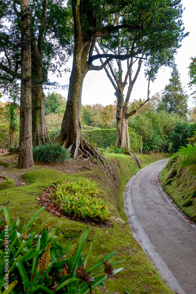 Beautiful Terra Nostra Botanical Park, Azores