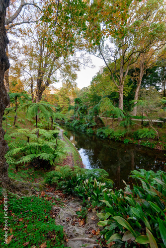 Beautiful Terra Nostra Botanical Park, Azores