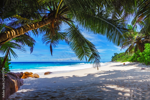 Obraz na płótnie beautiful paradise beach, anse bazarca, seychelles 15 w salonie