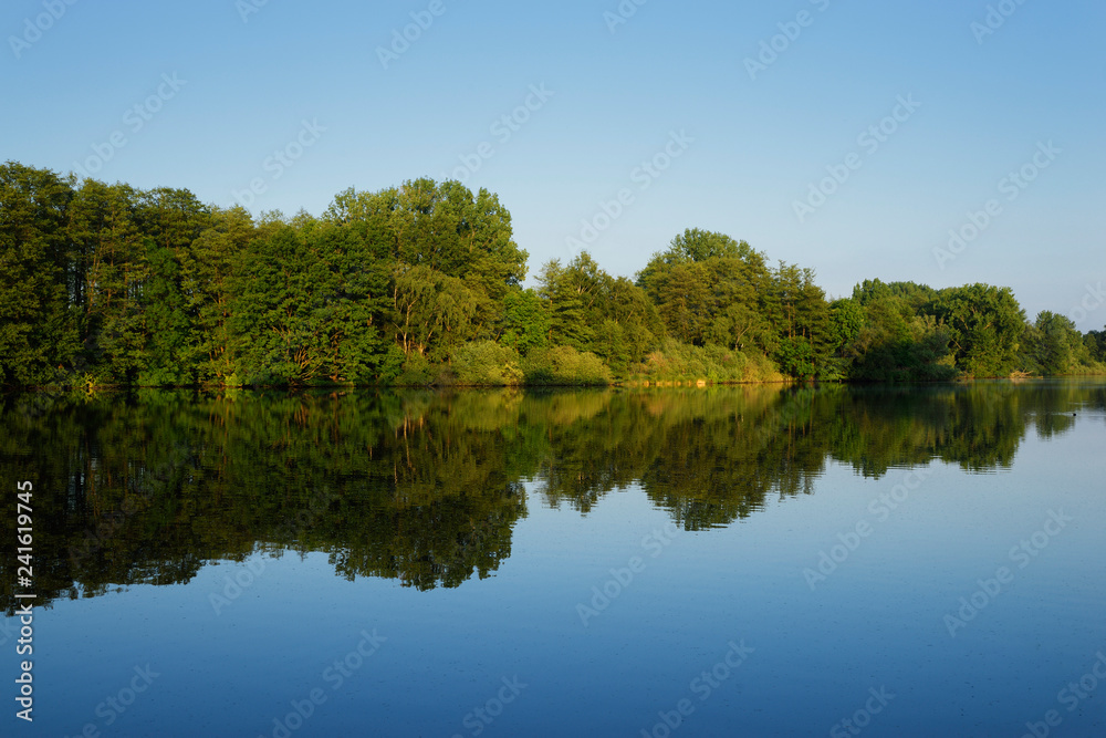 Waldspiegel