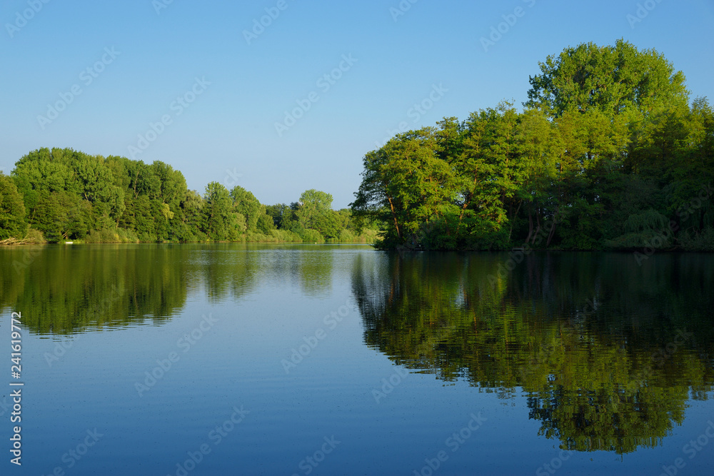 Waldspiegel