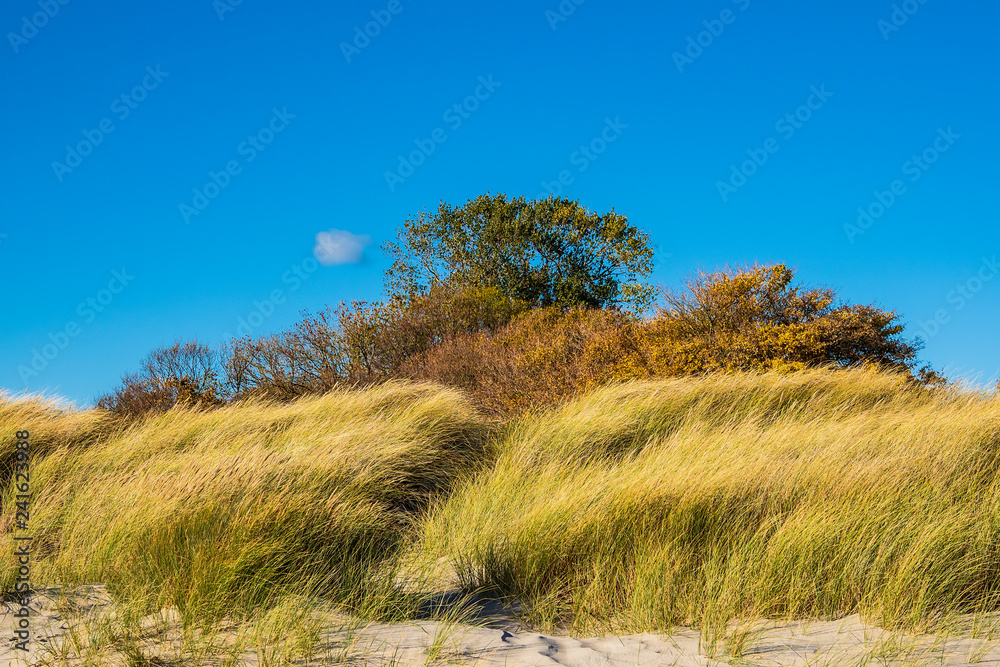 Obraz premium Ostseeküste bei Klintholm Havn in Dänemark