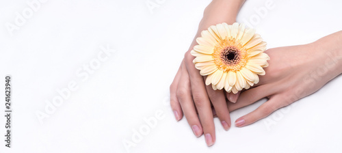 Fashion art hand woman in summer time and flowers on her hands with bright contrasting makeup. Creative beauty photo hand girls sitting at table on contrasting background. Skincare