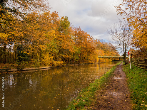 Autumn colours on trees along the Trent and Mersey Canal, Cheshire, Uk