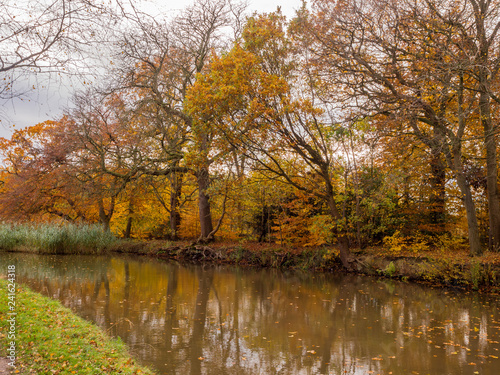 Autumn colours on trees along the Trent and Mersey Canal, Cheshire, Uk