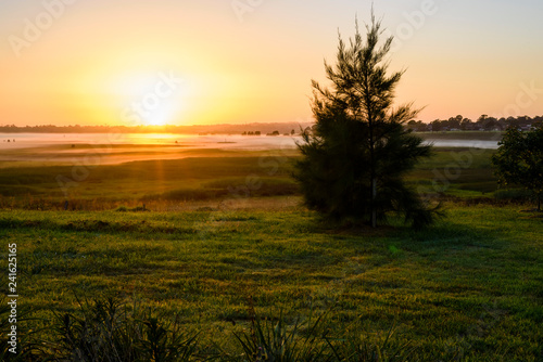 sunrise over the wetland