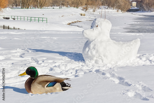 Photography Duck and her snow sculpture in a winter park
