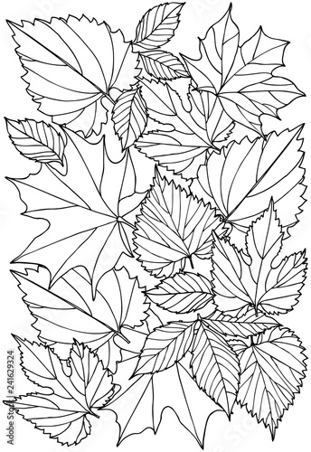 Vector black and white colorin page for colouring book. Leafs in monocrome colors. Doodles pattern