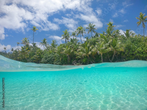 HALF UNDERWATER  Stunning shot of serene paradise island shoreline on sunny day.