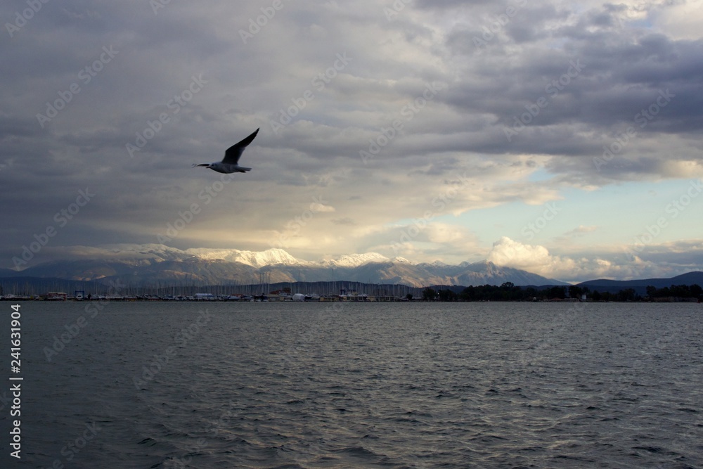 Seagull is flying over the sea at Ambracian gulf in city of Preveza after a heavy storm has gone in a cloudy day background view of mountains with snow and sailing boats moored at a marina in Aktion