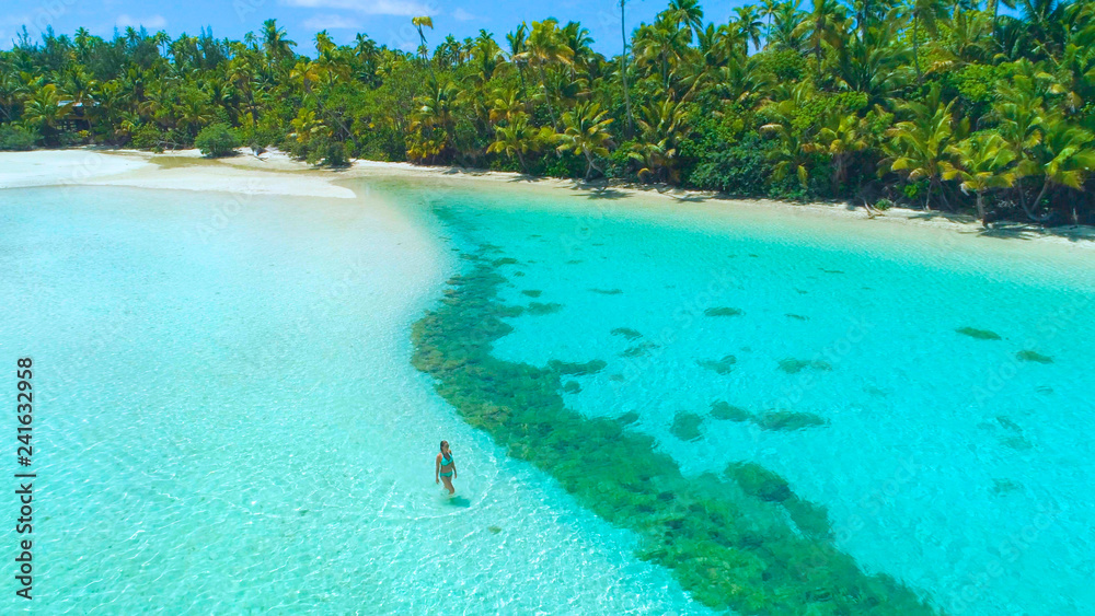 Fototapeta premium DRONE: Tourist girl in bikini walks into the shallow turquoise ocean water.