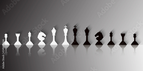 Set of white and black chess pieces