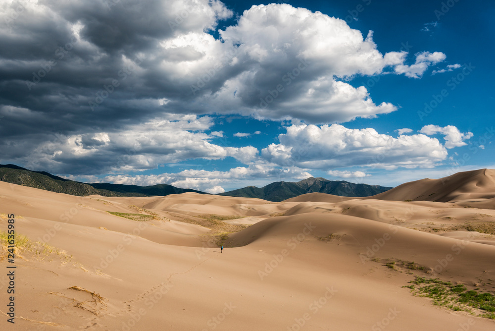 View of desert against cloudy sky at Great Sand Dunes National Park and Preserve View of desert against cloudy sky at Great Sand Dunes National Park and Preserve