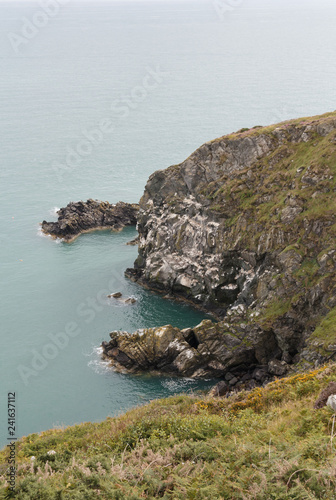 Tranquility and silence over the wild coast