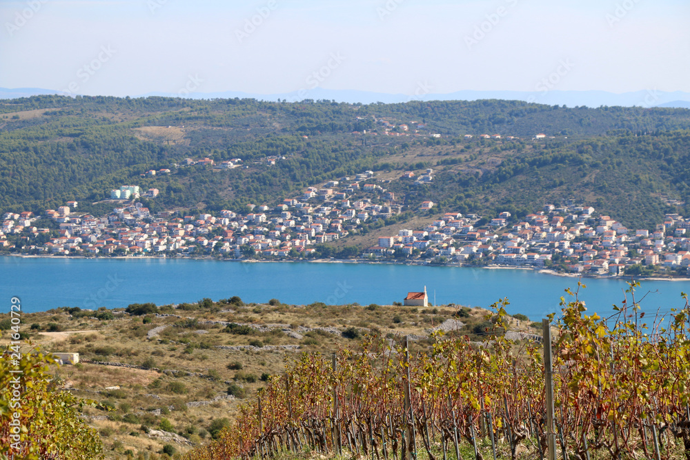 Beautiful vineyard on a hill above Trogir, Croatia during sunny day. View of Ciovo island. Selective focus.